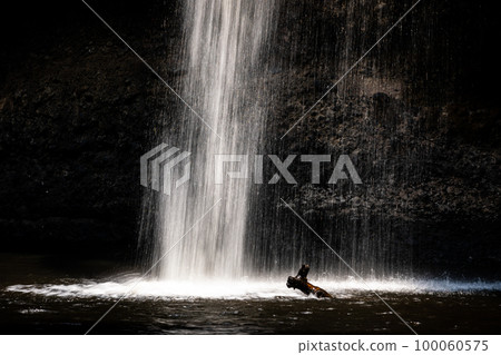 Splashing waterfall drop on pond with dark background of cave. Splashing waterfall drop on pond with dark background of cave. 100060575