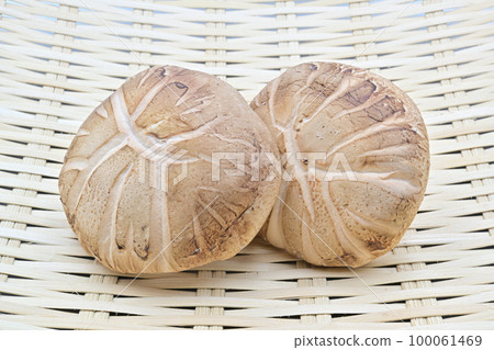 Raw Donko with Shiitake Mushrooms Raw Donko with Shiitake Mushrooms 100061469