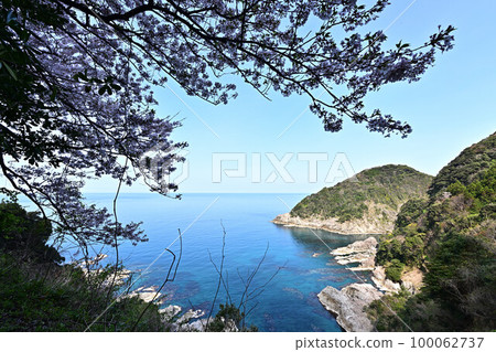 Tango Peninsula in spring Tango Peninsula in spring 100062737