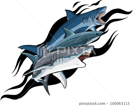 Sharks collection, great white shark Sharks collection, great white shark 100063115