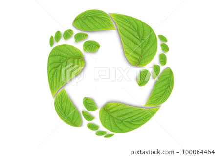 green leaf growing footprints, co2 symbol isolated on White Background. Reduce CO2 emission concept.Clean and friendly environment without carbon dioxide emissions. green leaf growing footprints, co2 symbol isolated on White Background. Reduce CO2 emission concept.Clean and friendly environment without carbon dioxide emissions. 100064464
