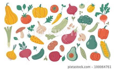 Simple doodle vegetables. Vegan diet grocery products, healthy food cooking ingredients hand drawn vector illustration set 100064761
