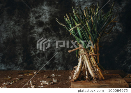 bunch of raw calcots, typical of Catalonia, Spain 100064975