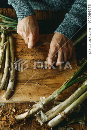 man cutting the roots of some calcots typical of catalonia man cutting the roots of some calcots typical of catalonia 100064976