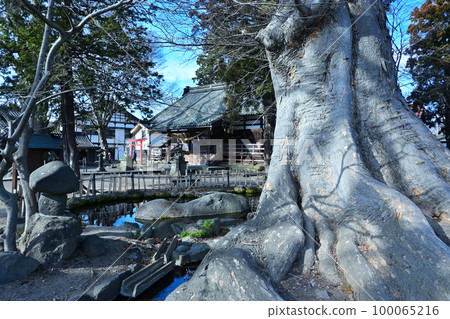 信州北國街道云之宿 信州北國街道云之宿 100065216