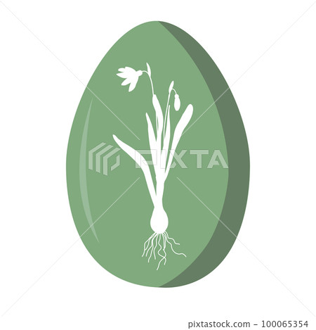 Painted Easter egg decorated with white snowdrop silhouette. Vector illustration isolated on white background. 100065354