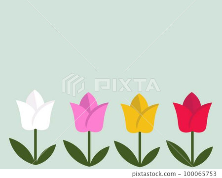 鬱金香圖標集 紅色白色黃色鬱金香 春天的花朵/植物 五顏六色的矢量圖解 鬱金香圖標集 紅色白色黃色鬱金香 春天的花朵/植物 五顏六色的矢量圖解 100065753