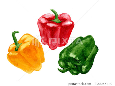 紅色、黃色和綠色辣椒粉的手繪水彩插圖 100066220