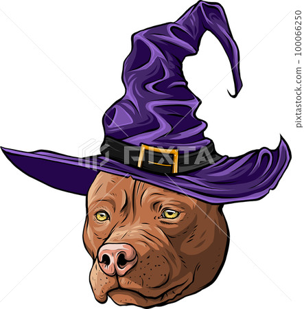 cute dog use hat wizard mascot design cute dog use hat wizard mascot design 100066250