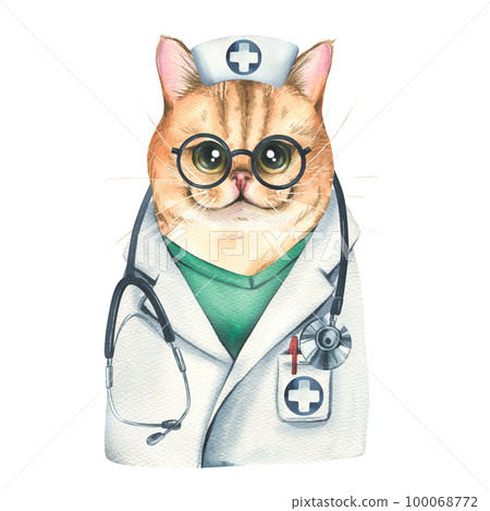 Cat breed golden chinchilla doctor with a stethoscope in a medical suit and glasses. Watercolor illustration. Isolated object from the VETERINARY collection. For the design and design. Cat breed golden chinchilla doctor with a stethoscope in a medical suit and glasses. Watercolor illustration. Isolated object from the VETERINARY collection. For the design and design. 100068772