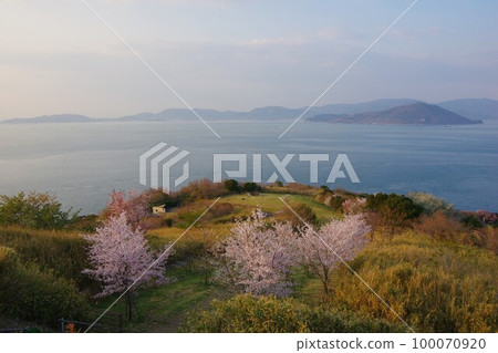 Sanuki City, Kagawa Prefecture View of Shodoshima Island from the Ogushi Peninsula 100070920