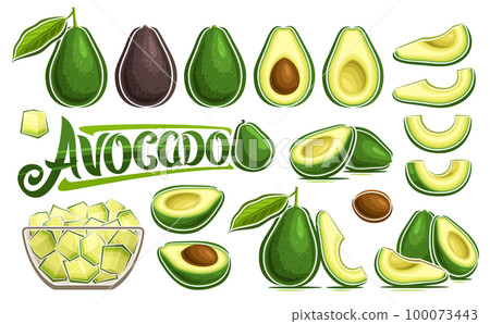 Vector Avocado Set Vector Avocado Set 100073443