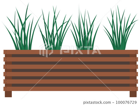 Long, low flowerpot with small green herbaceous plants. Young grass, houseplant in wooden pot 100076729