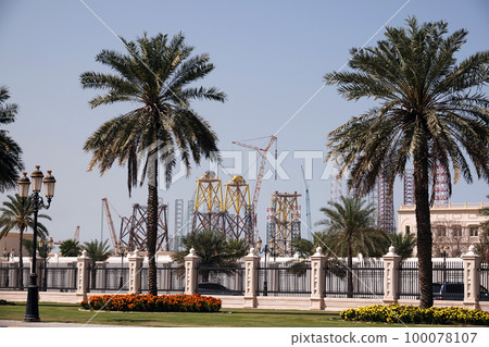 Sharjah, UAE February 21, 2020: landscaping the city with palm alleys along the roads 100078107