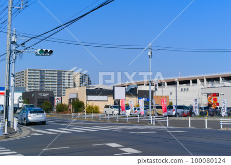 Scenery along the Kinagareyama Highway in Nagareyama City, Chiba Prefecture, March 2023 Scenery along the Kinagareyama Highway in Nagareyama City, Chiba Prefecture, March 2023 100080124