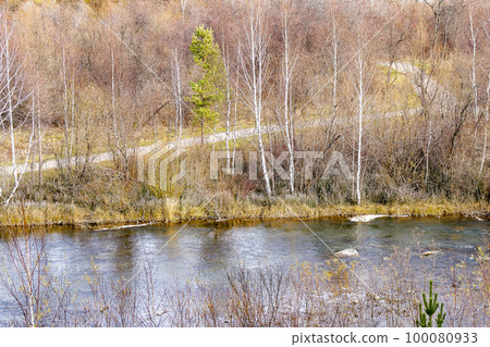 Autumn river bank in the forest. Autumn nature in the forest. Autumn river bank in the forest. Autumn nature in the forest. 100080933