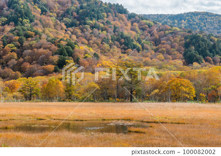 Burning autumn Oze colored with colored leaves Burning autumn Oze colored with colored leaves 100082002