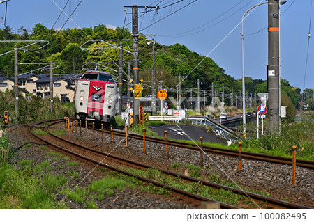 Limited express train Limited express train 100082495