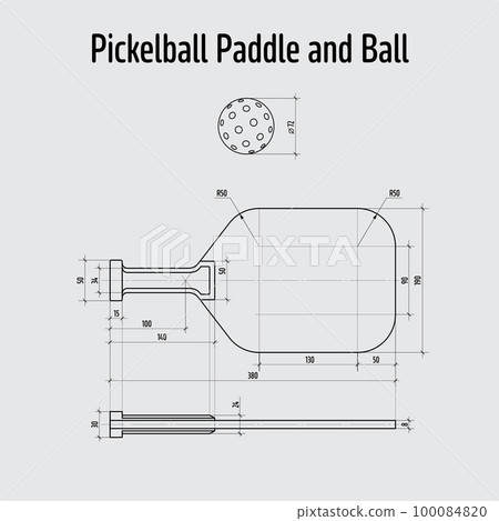 Pickleball paddle and ball dimensions 100084820