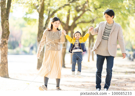 A family walking hand in hand along a tree-lined street 100085233