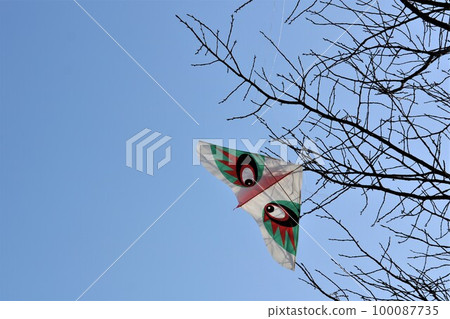 A kite caught on a high branch, the sunlight of spring, the remnants of winter 100087735