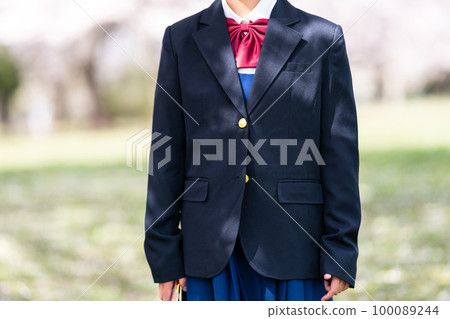 junior high school student, junior high student, middle school student 100089244