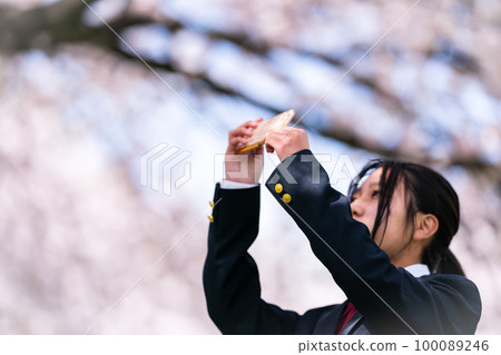 cherry blossom, smartphone, sumaho 100089246