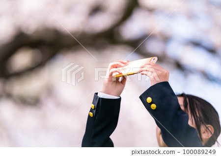 cherry blossom, smartphone, sumaho 100089249
