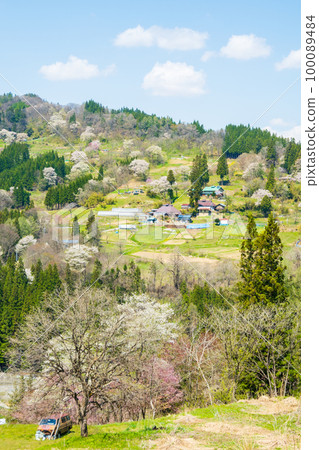 春天寧靜的山村（長野縣小川村） 100089484