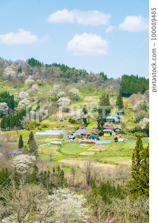 春天寧靜的山村(長野縣小川村) 春天寧靜的山村(長野縣小川村) 100089485