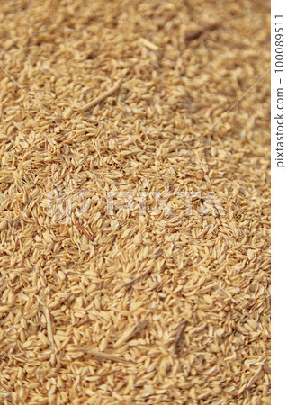 Rice husk rice paddy agriculture 100089511