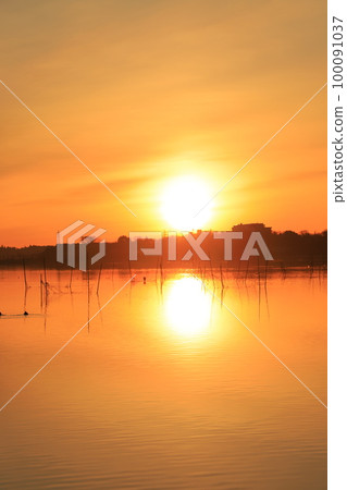 Sunrise scenery of Lake Inba 100091037