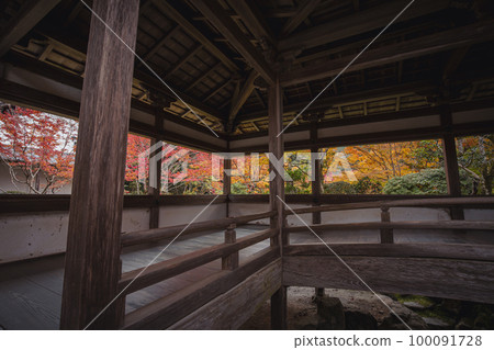 Autumn leaves of Saige-ji 100091728
