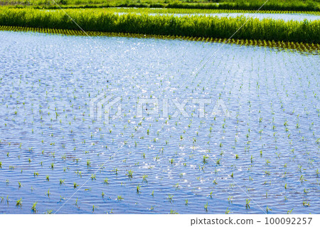 Early summer in Nikaho, Akita Kujukushima, Kisakata with fresh greenery Early summer in Nikaho, Akita Kujukushima, Kisakata with fresh greenery 100092257