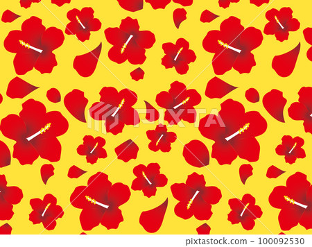 Hibiscus B1-4 100092530