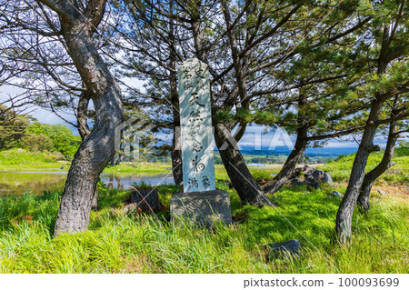 初夏的仁賀保、秋田九十九島、綠意盎然的如方 初夏的仁賀保、秋田九十九島、綠意盎然的如方 100093699