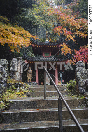 Autumn leaves of Atago Memorial Buddha Temple 100095732