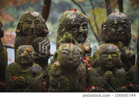 Autumn leaves of Atago Memorial Buddha Temple 100095744