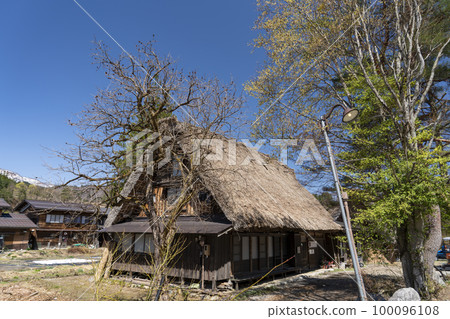 Shirakawa-go spring 100096108