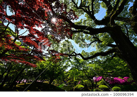 Japanese garden of Yushien Japanese garden of Yushien 100096394