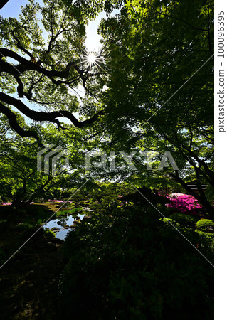 Yushien日本庭院 Yushien日本庭院 100096395