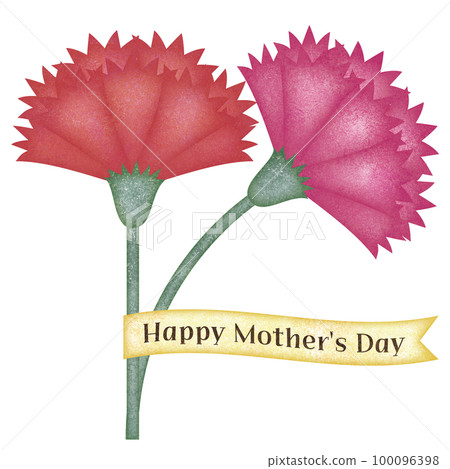 帶絲帶的母親節康乃馨 100096398