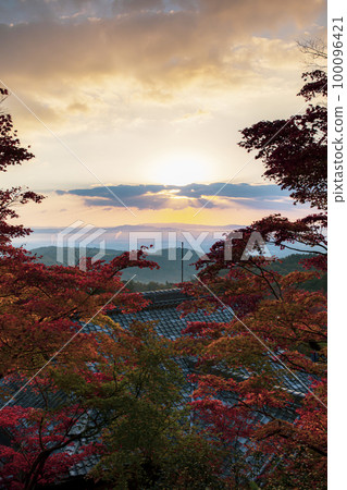 Autumn leaves of Zen-zenji 100096421