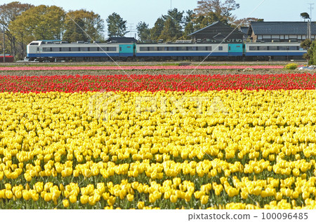 北陸本線 東滑川魚津 JR東日本485系R編組（新潟）北越 100096485