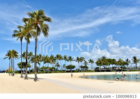 夏威夷的假期 100096913