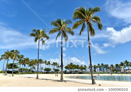 夏威夷的假期 夏威夷的假期 100096920