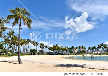 夏威夷的假期 100096926