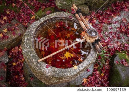 Autumn leaves of Myoshuji Temple 100097189