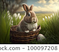 A nice little rabbit sits in a basket in a green meadow 100097208