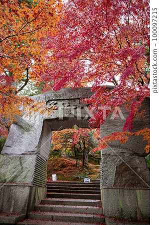 Autumn leaves of Myoshuji Temple 100097215